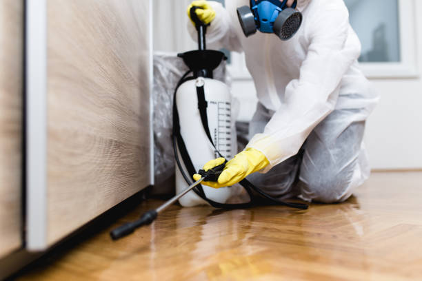 Best Pest Inspection Near Me  in Anthony, NM