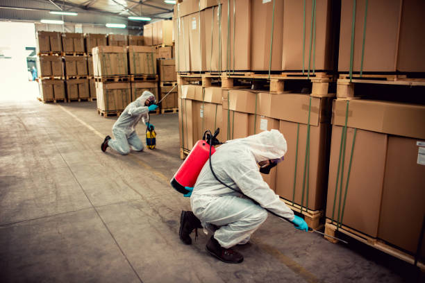 Best Best Pest Control Companies  in Anthony, NM