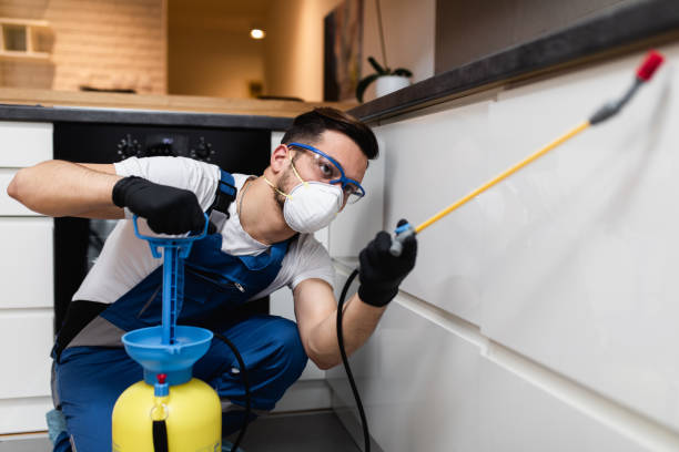 Best Affordable Pest Control Services  in Anthony, NM