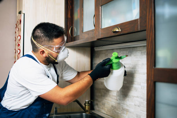 Best Pest Control Near Me in Anthony, NM