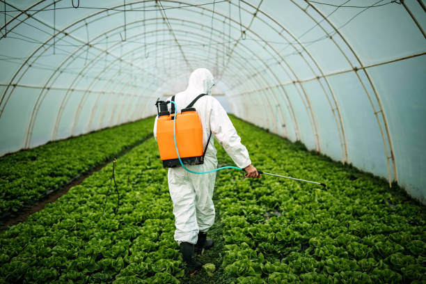 Best Mosquito Control Services  in Anthony, NM
