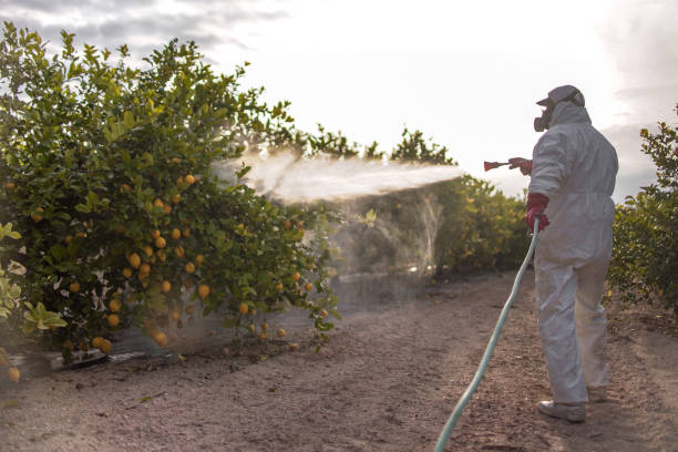 Best Wildlife Control Services  in Anthony, NM