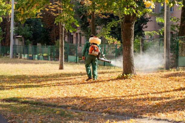 Professional Pest Control in Anthony, NM
