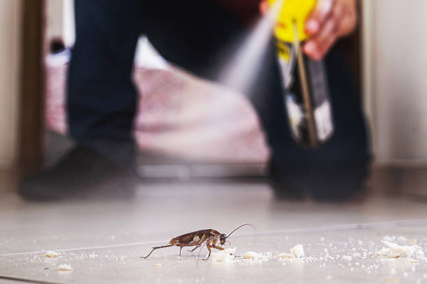 Best Commercial Pest Control Services  in Anthony, NM